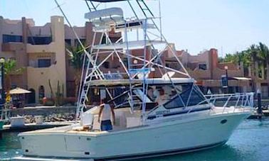 Enjoy Fishing in San José del Cabo, Mexico on 38' Black fin Sport Fisherman