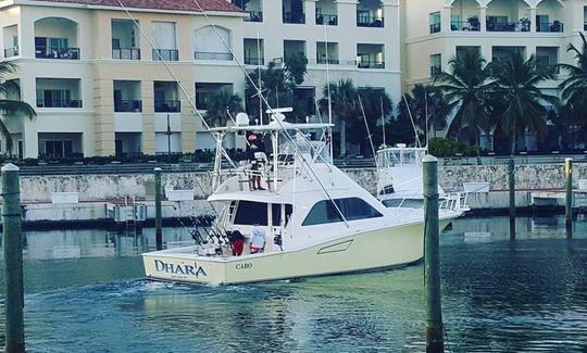 Disfrute de la pesca en Punta Cana, República Dominicana, en Cabo Sport Fisherman de 43 pies