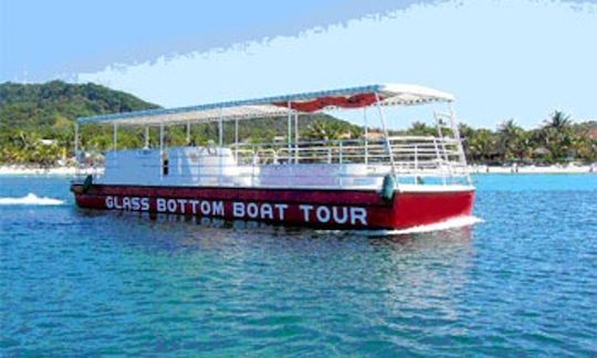 Excursion en bateau à fond de verre à Coxen Hole, au Honduras