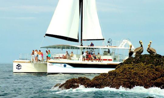 Catamarã de cruzeiro de luxo “Tom Cat II” em Flamingo, Costa Rica