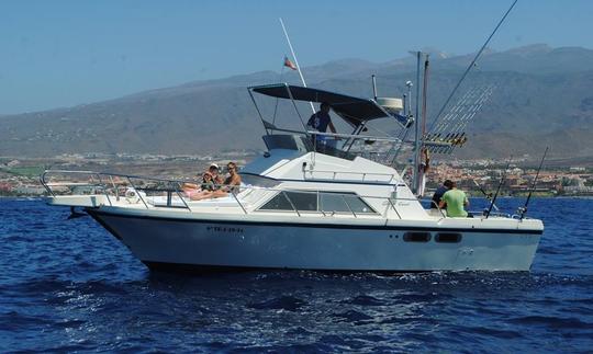 Disfruta de la pesca en Costa Adeje, España en Sport Fisherman