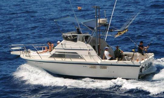 Disfruta de la pesca en Costa Adeje, España en Sport Fisherman