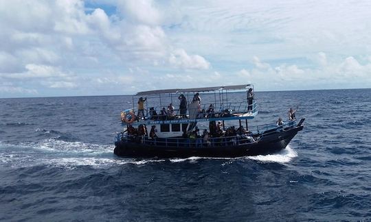 Whale Watching Boat