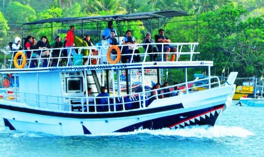 Whale Watching Boat