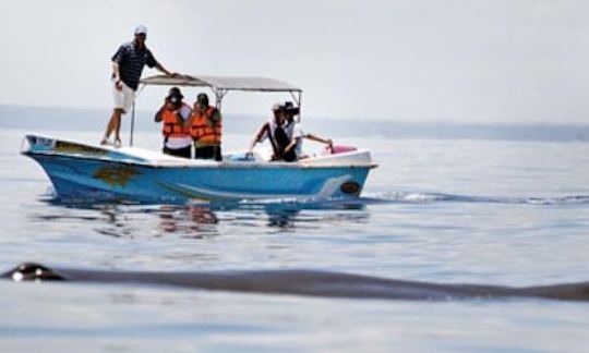 Enjoy a boat rental in Kalpitiya, Sri Lanka