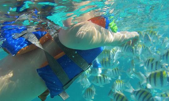 Excursion de plongée en apnée et de pêche à San Pedro, Belize