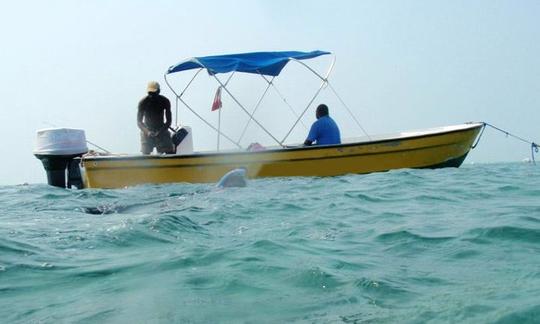 Viagens de pesca em alto mar em San Pedro