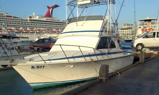 Explorez les magnifiques eaux d'Aruba avec Sport Fisherman Charter