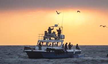 Charter 36ft "Blue Pointer" Power Catamaran In South Africa, Cape Town