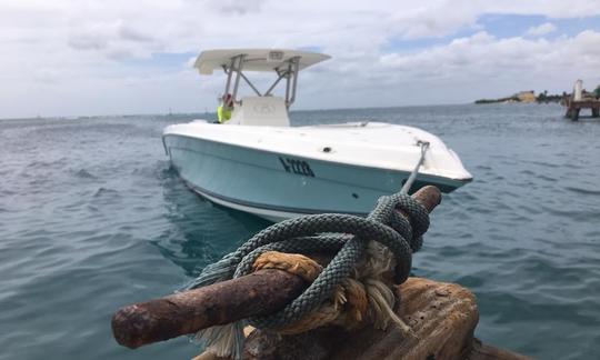 Excursion de pêche à Oranjestad, Aruba, sur console centrale