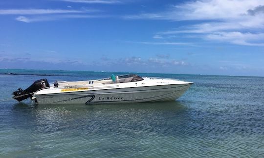 Charter a Glass Bottom Boat in Blue Bay, Mauritius