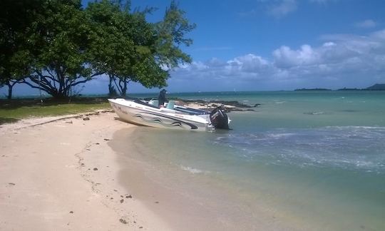 Charter a Glass Bottom Boat in Blue Bay, Mauritius