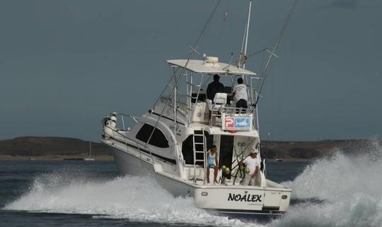 Viaje de pesca en Playa Blanca, España en Sport Fisherman