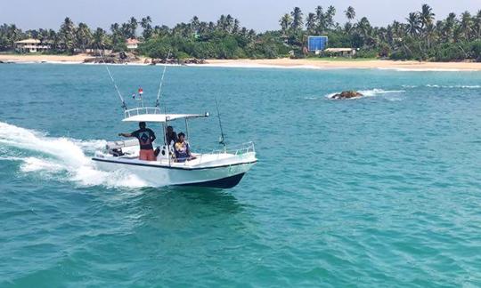 Enjoy Fishing in Ambalangoda With Seagulls Fishing Club