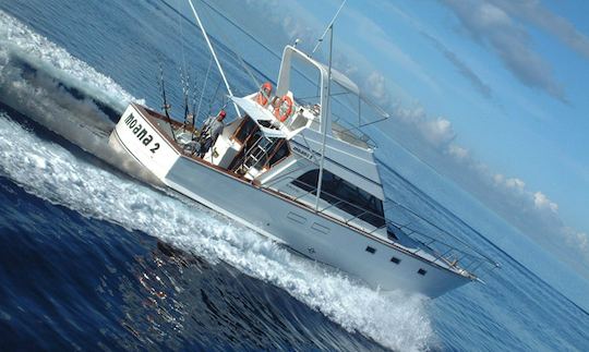 Enjoy Fishing in Flic en Flac, Mauritius on 42' Moana Sport Fisherman