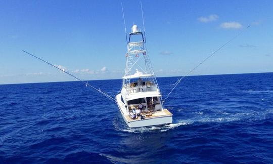 Desfrute da pesca em La Romana, República Dominicana, no Viking 72 Sport Fisherman