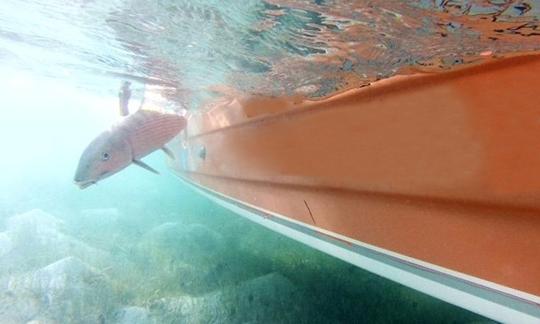 Charter de pesca con espina en Center, Anegada, Islas Vírgenes Británicas