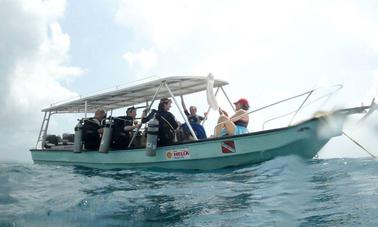 Excursions de plongée avec tuba de 23 minutes en bateau Super Panga au Panama