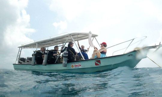 23' Super Panga Dive Boat Snorkeling Trips in Panama