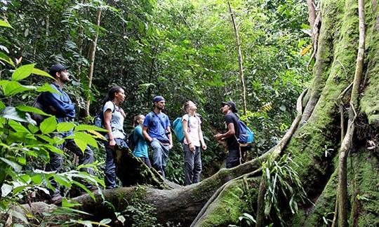 Wildlife Tour in Bukit lawang (1 Day Jungle Trekking With Rafting Back).