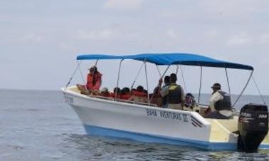 Guias experientes para fretamento de pesca de dia inteiro ou meio dia