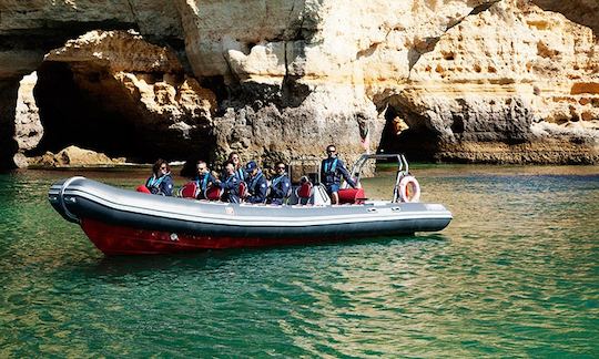 Excursiones con delfines y cuevas en Albufeira, Portugal