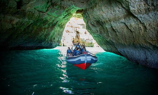 Excursiones con delfines y cuevas en Albufeira, Portugal