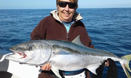 Disfruta de la pesca en Tairua, Nueva Zelanda, en la cabina Strikezone Cuddy de 24 pies