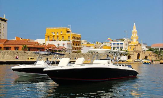 Rent the Bravo 42ft  for 20 people in Cartagena,Bolívar