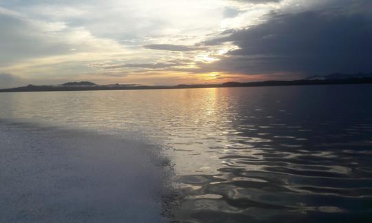 Tour ecológico no Golfo do Montijo com almoço de lagosta