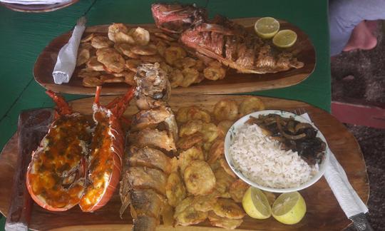 Tour ecológico no Golfo do Montijo com almoço de lagosta