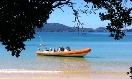 Alugue um barco inflável rígido em Opua, Nova Zelândia