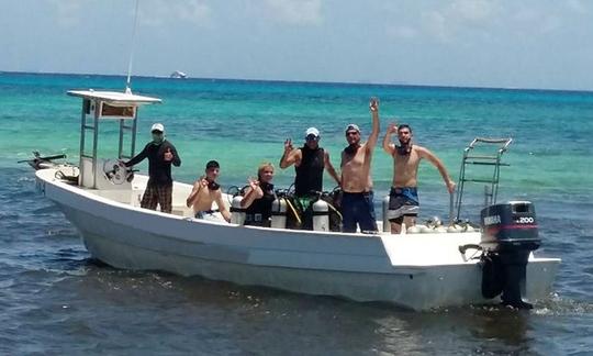 Passeios de mergulho e cursos PADI em Playa del Carmen, México