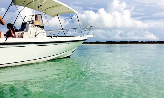 Console centrale Boston Whaler de 23 pieds ! ! !