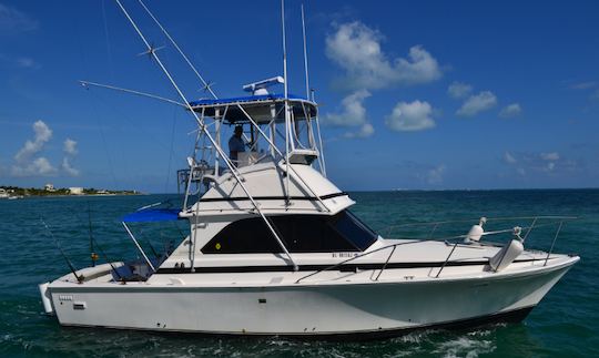 Enjoy Fishing in Cancún, Mexico on 35' Mark Bertram Sport Fisherman