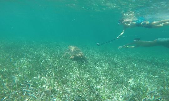 Snorkeling Excursion in Belize City on our Tours!