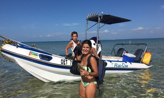 Gran día de pesca en Vilanculos, Mozambique, en una consola central