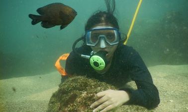 Snorkeling in Malvan, India