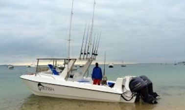 Enjoy Fishing in Vilanculos, Mozambique on 27' Sailfish Center Console