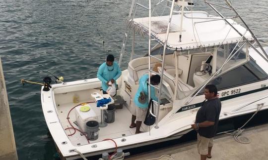 Disfrute de la pesca en Playa Flamingo, Costa Rica, en el Blackfin Sport Fisherman de 32 pies