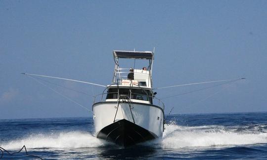 Enjoy Fishing in Saint-Gilles les Bains, Reunion on Oceana 2 Sport Fisherman