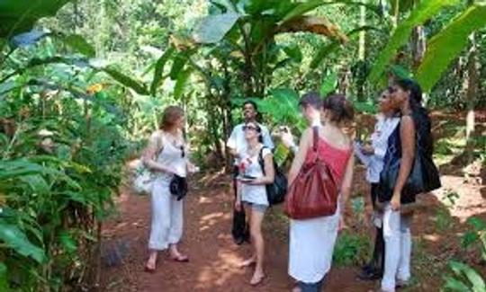 Spice tour at Spice Farm