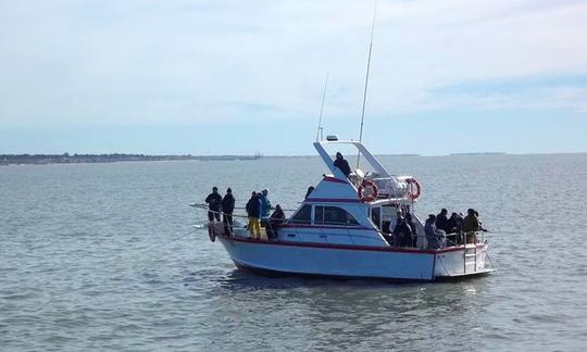 Carta de pesca esportiva para pescadores em Mar del Plata, Argentina