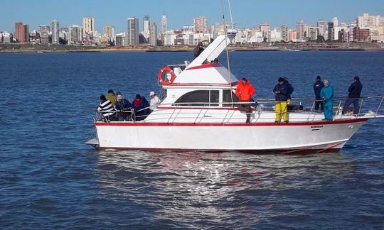 Carta de pesca esportiva para pescadores em Mar del Plata, Argentina