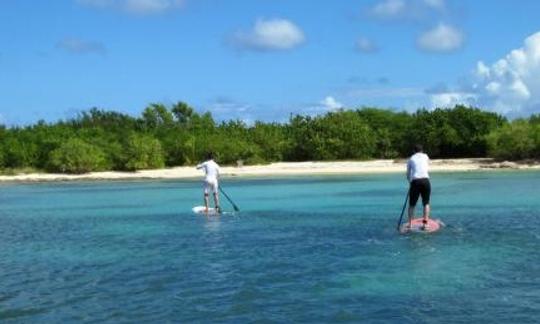 Louer un stand up paddleboard à Port-Louis, Guadeloupe