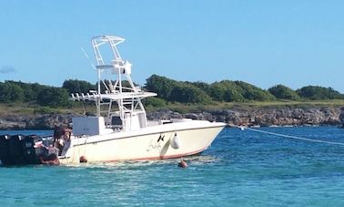 Enjoy Fishing in Grande-Terre, Guadeloupe on a Center Console