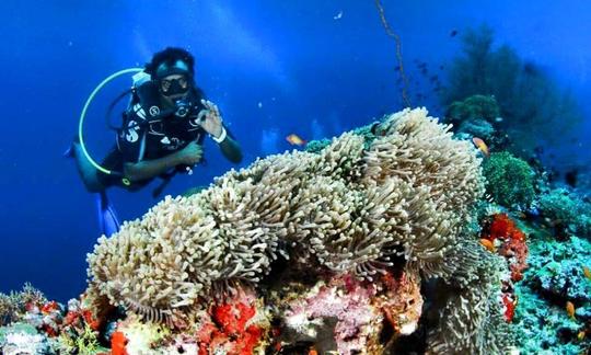 Desfrute de viagens de mergulho na cidade de Addu, Maldivas