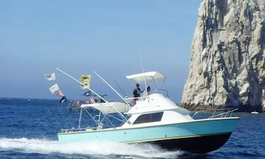 31ft Bertram Sport Fisherman in Cabo San Lucas, Mexico