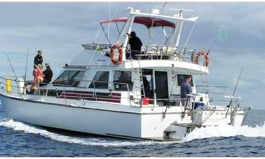 Charters de pesca de 42 minutos en Gulf Harbour, península de Whangaparoa