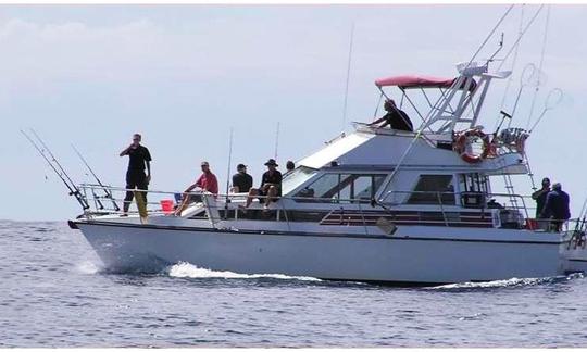 Charters de pesca de 42 minutos en Gulf Harbour, península de Whangaparoa